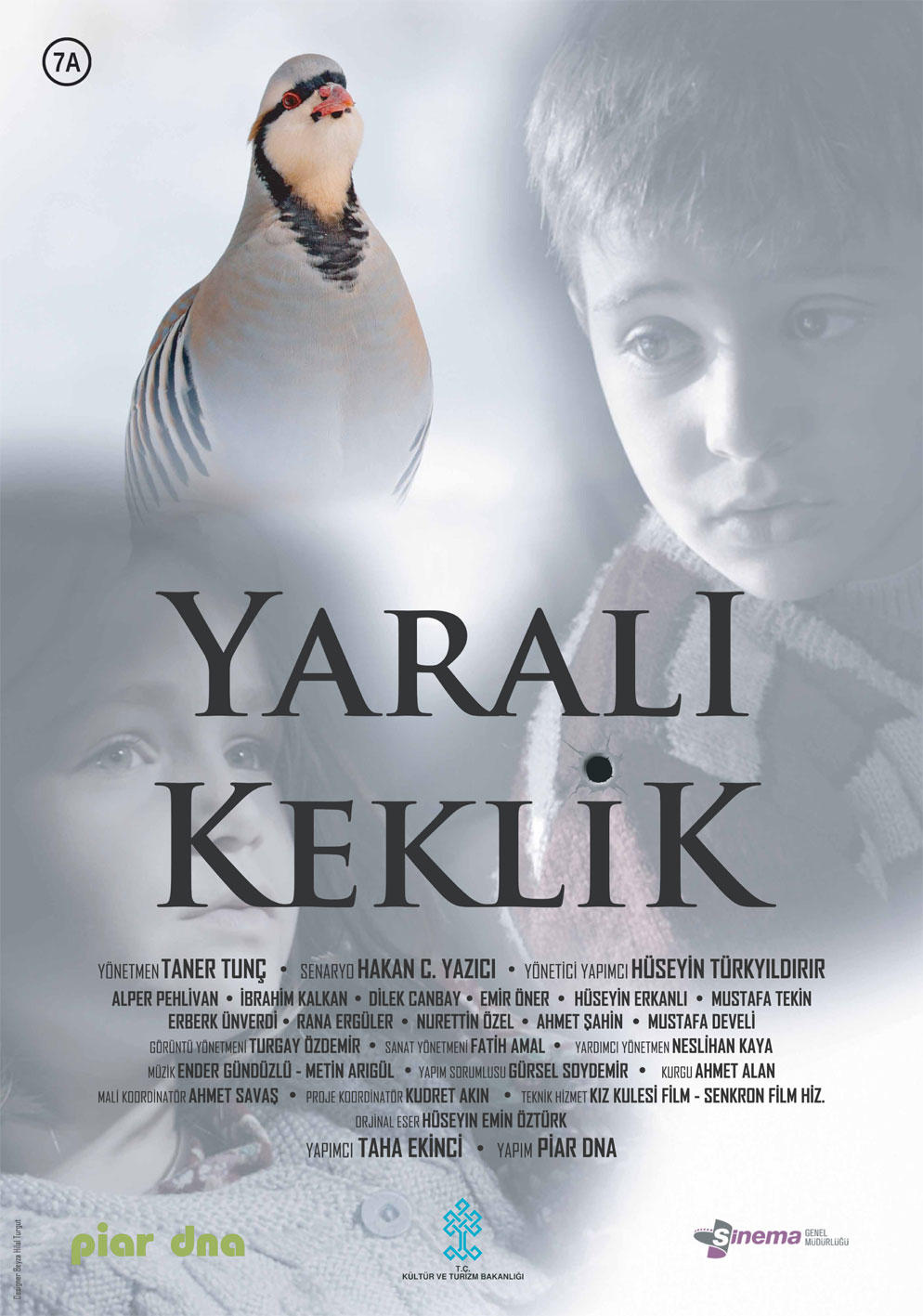 Wounded Partridge